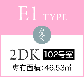 E1 TYPE 冬 2DK 102号室 専有面積：46.53㎡