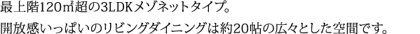 最上階120㎡超の3LDKメゾネットタイプ。開放感いっぱいのリビングダイニングは約20帖の広々とした空間です。