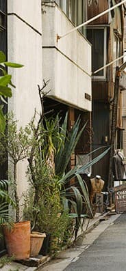 緑を取り入れた建物の外観