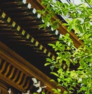 窓辺の室内風景