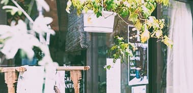 植物のある店内