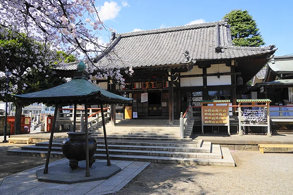 新井薬師 梅照院