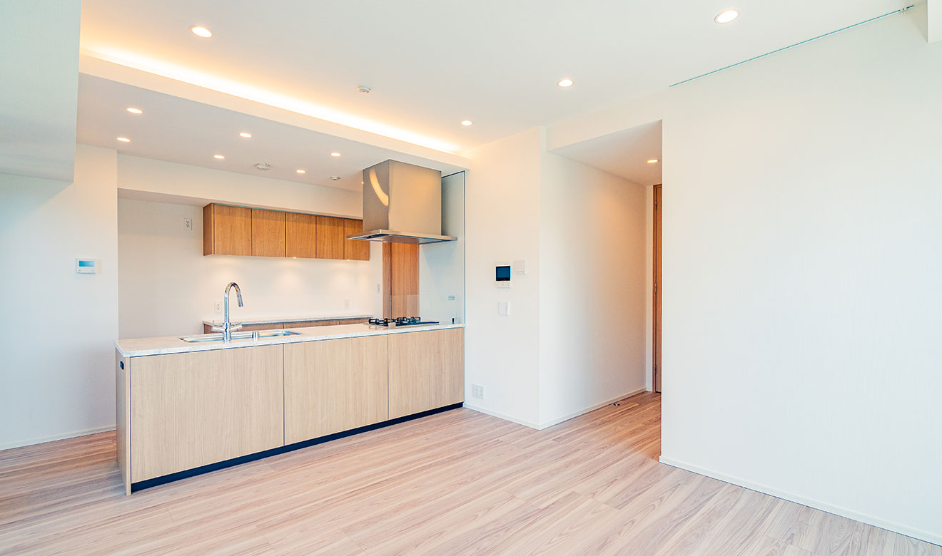 Kichen/Living/Dining