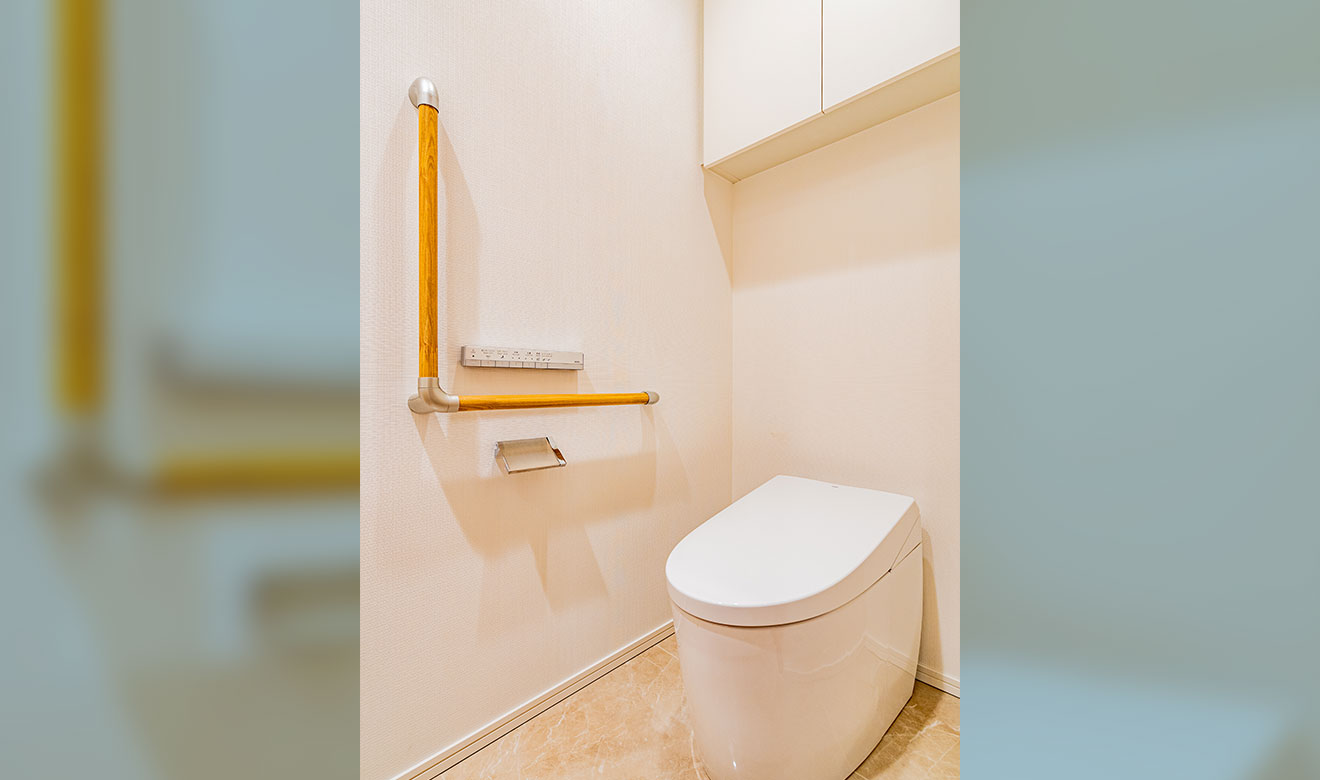 Toilet