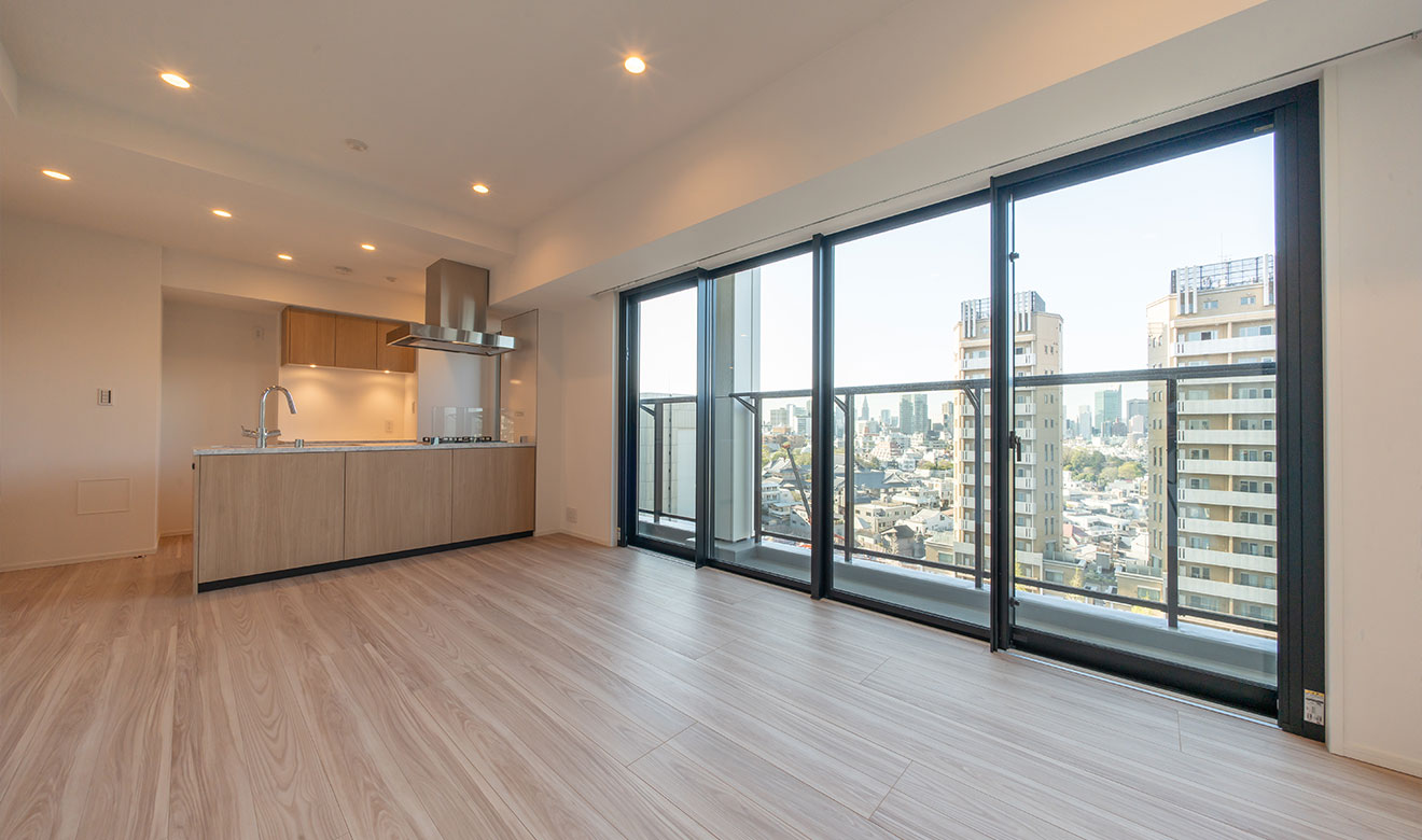 Kitchen/Lving/Dining