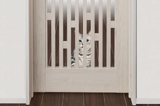 写真：キャットゲート