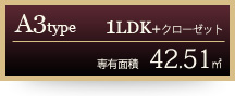 A3タイプ