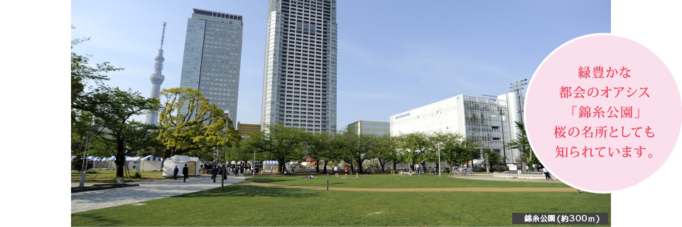 緑豊かな都会のオアシス「錦糸公園」(約300ｍ)。桜の名所としても知られています。