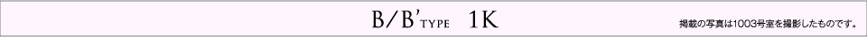 B/B’type  1K