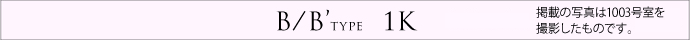 B/B’type  1K