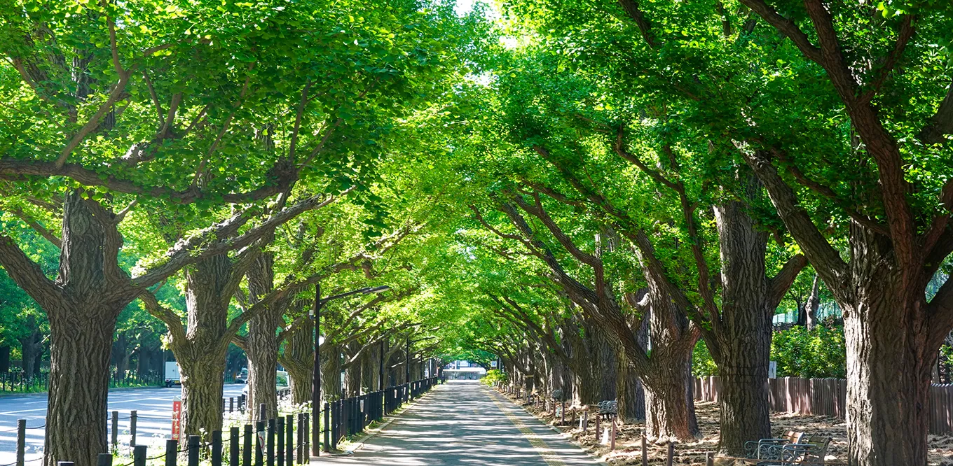 明治神宮外苑（約1.4km／徒歩18分）