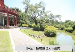 小石川植物園（約600m・徒歩8分）