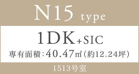 N15 type 1DK+SIC