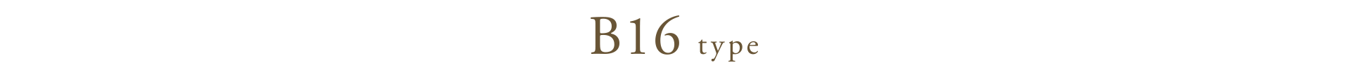 B16 type