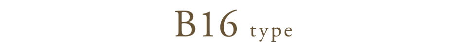 B16 type