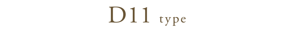 D11 type