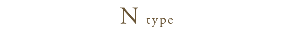 N type