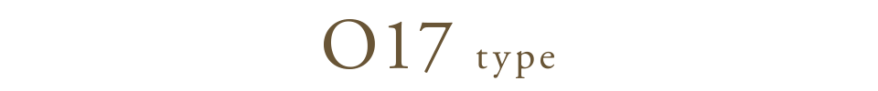O17 type