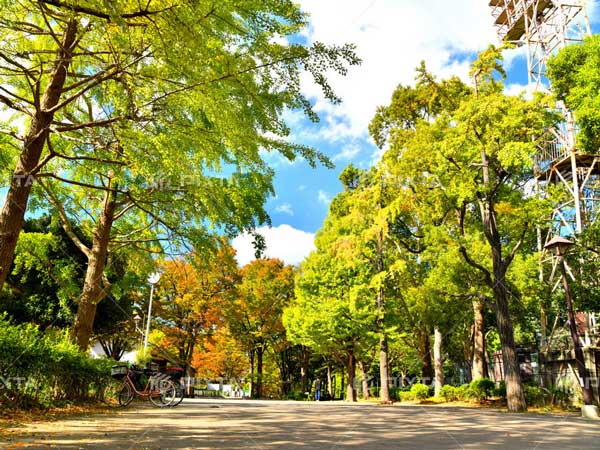 城北中央公園（徒歩約13分／約1km）