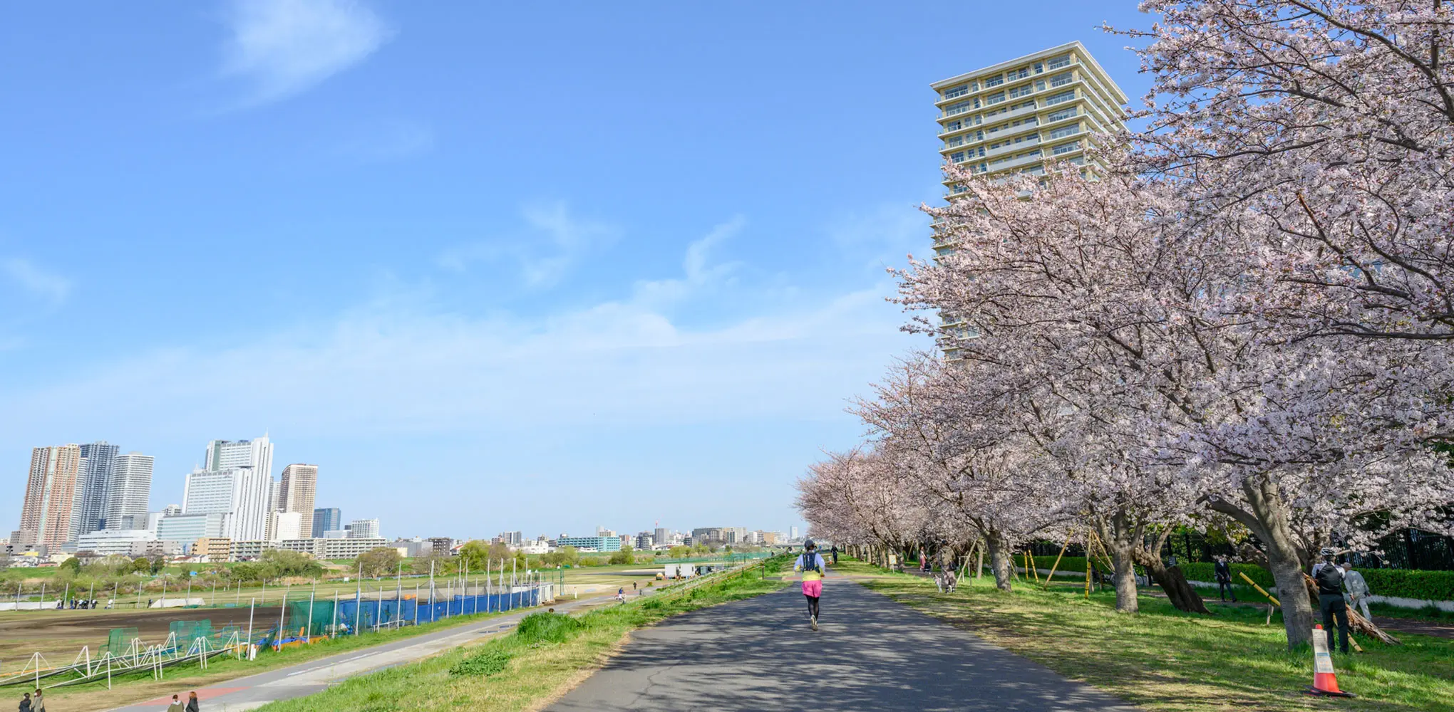 多摩川河川敷