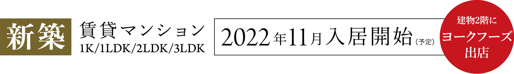新築 賃貸マンション 1K/1LDK/2LDK/3LDK 2022年11月入居開始（予定）