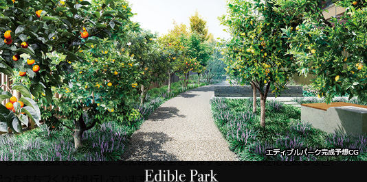 Edible Park