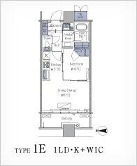 TYPE1E 1LDEK+WIC