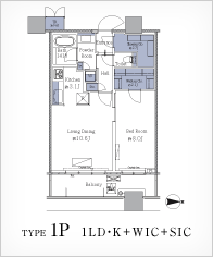 TYPE1P 1LDEK+WIK+SIC