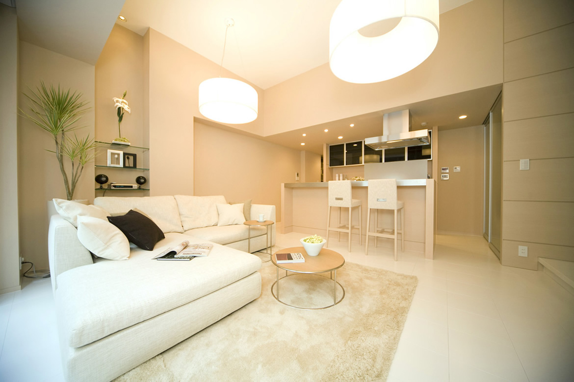 Living Dining Room