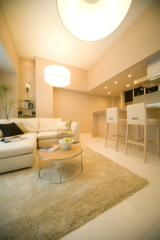 Living Dining Room