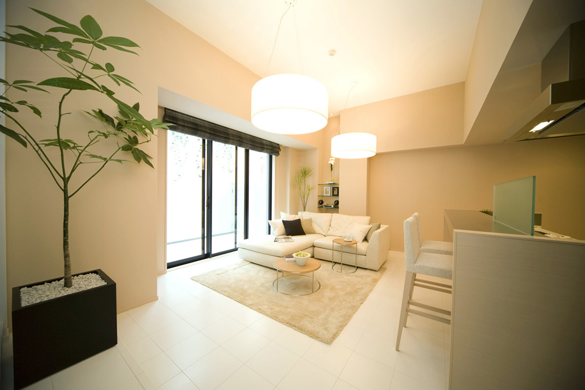 Living Dining Room