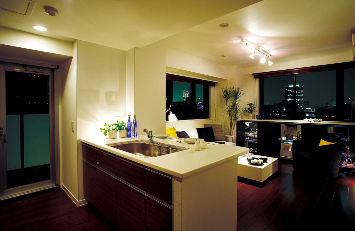 Living Dining Kitchen