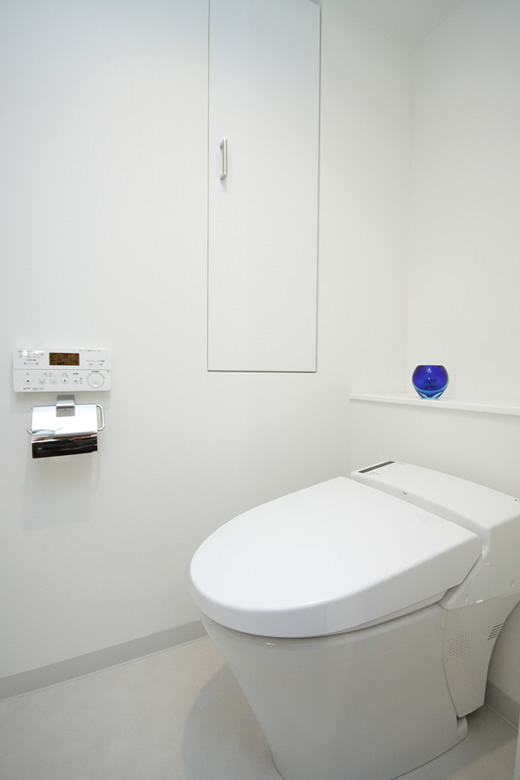 Lavatory