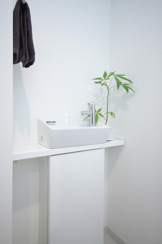 Lavatory