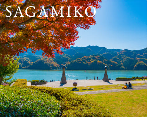 SAGAMIKO