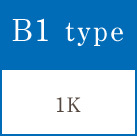 B1 type