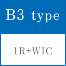 B3 type
