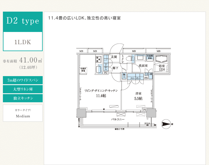 D2 type 1LDK　専有面積41.00㎡（12.40坪）　訳8mのワイドスパン　カウンターキッチン　２室一体利用可能　トイレ独立　カラータイプ：Medium