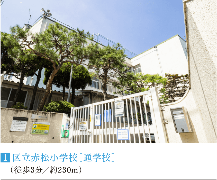 ■区立赤松小学校［通学校］（徒歩3分／約230m）