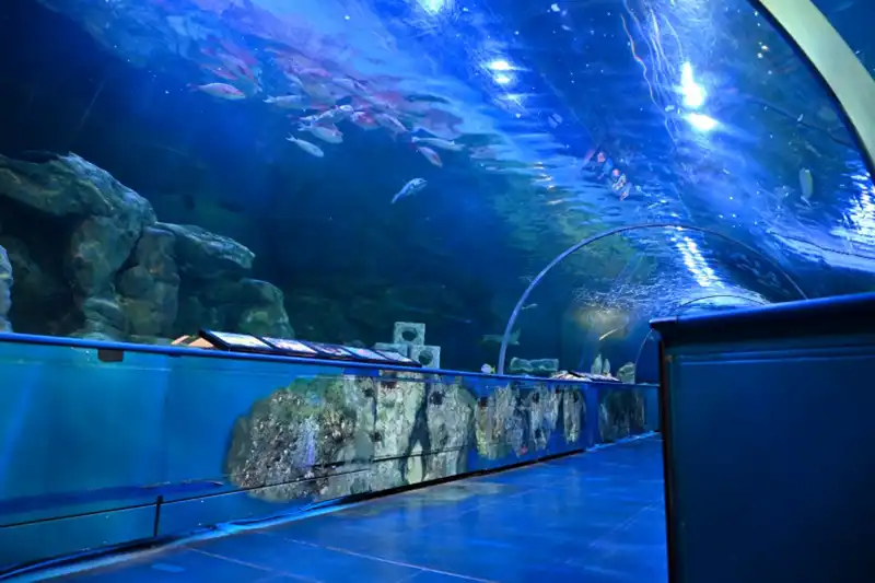 しながわ水族館