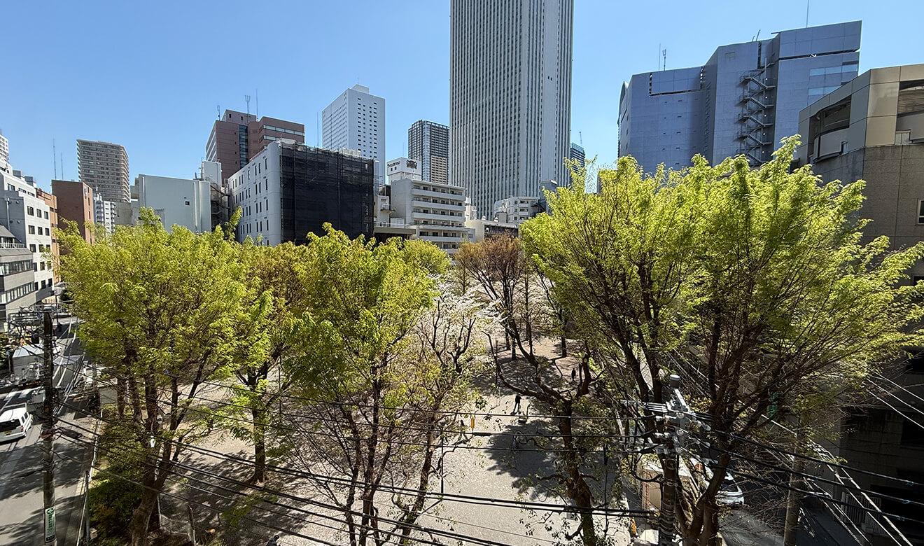 眺望