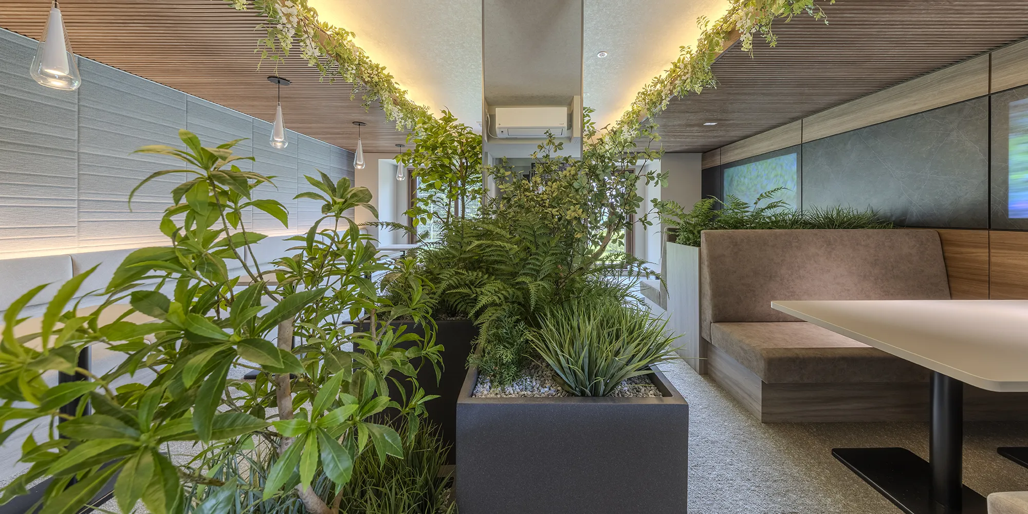 写真：GREEN LOUNGE