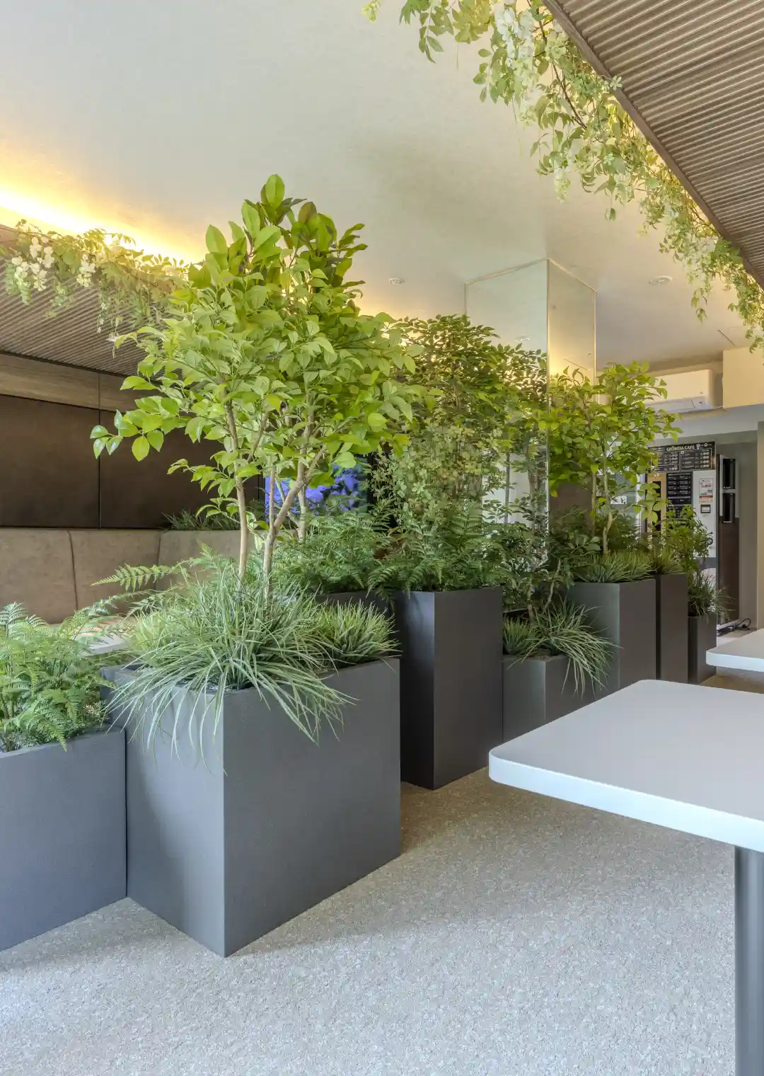 GREEN LOUNGE_