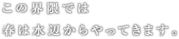 この界隈では春は水辺からやってきます。