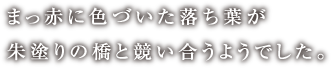 まっ赤に色づいた落ち葉が朱塗りの橋と競い合うようでした。