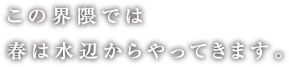 この界隈では春は水辺からやってきます。