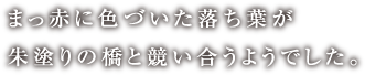 まっ赤に色づいた落ち葉が朱塗りの橋と競い合うようでした。