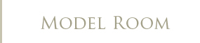 MODEL ROOM