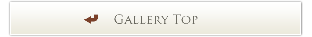 Gallery Top