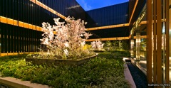 Suehatsu no Niwa